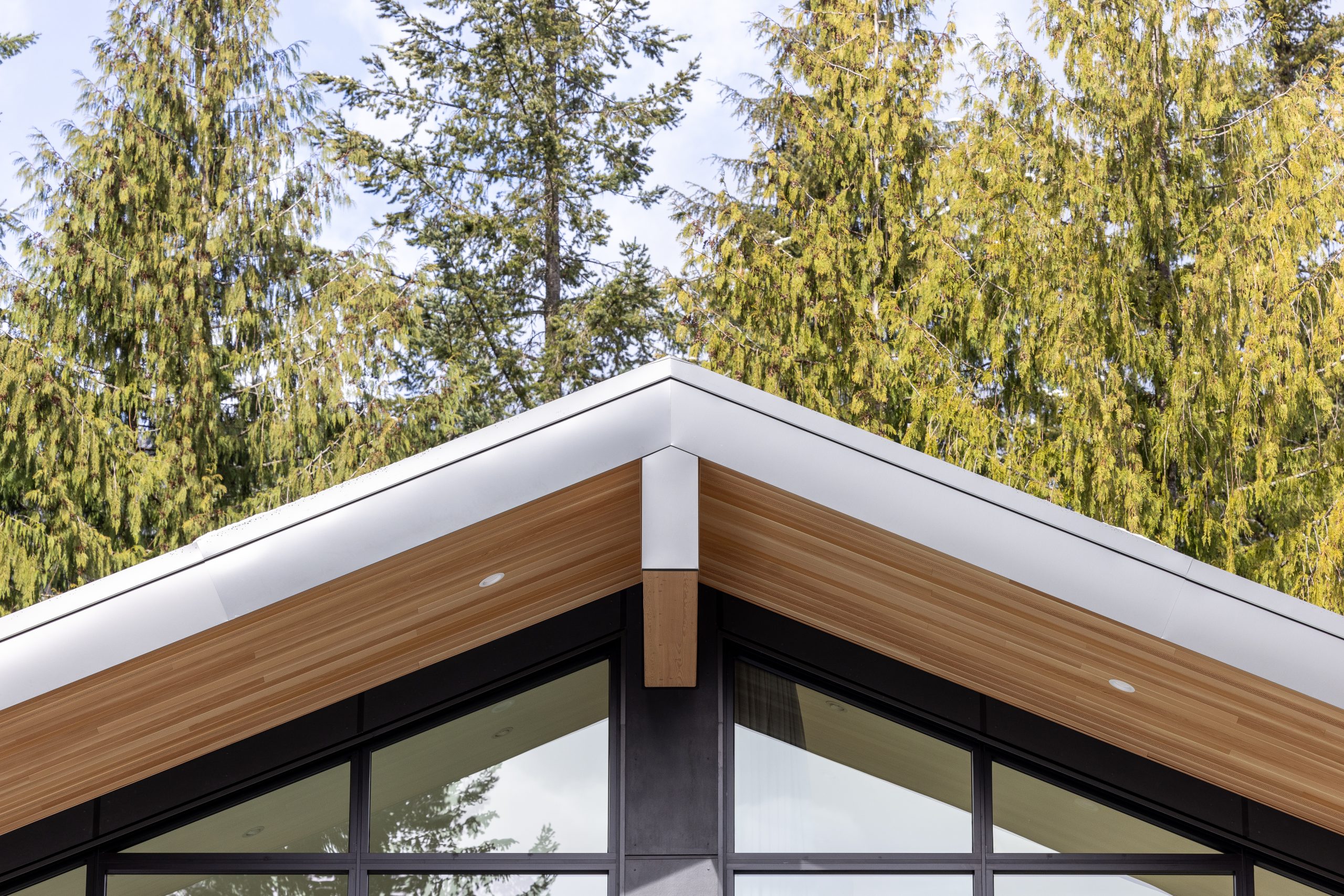 Buckhorn Drive - Whistler Premium Custom Home Project